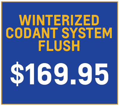 Winterized Codant System Flush