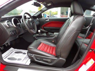 2009 Ford Shelby GT500 Shelby GT500
