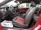2009 Ford Shelby GT500 Shelby GT500