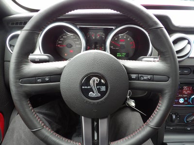 2009 Ford Shelby GT500 Shelby GT500
