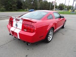 2009 Ford Shelby GT500 Shelby GT500