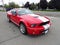 2009 Ford Shelby GT500 Shelby GT500