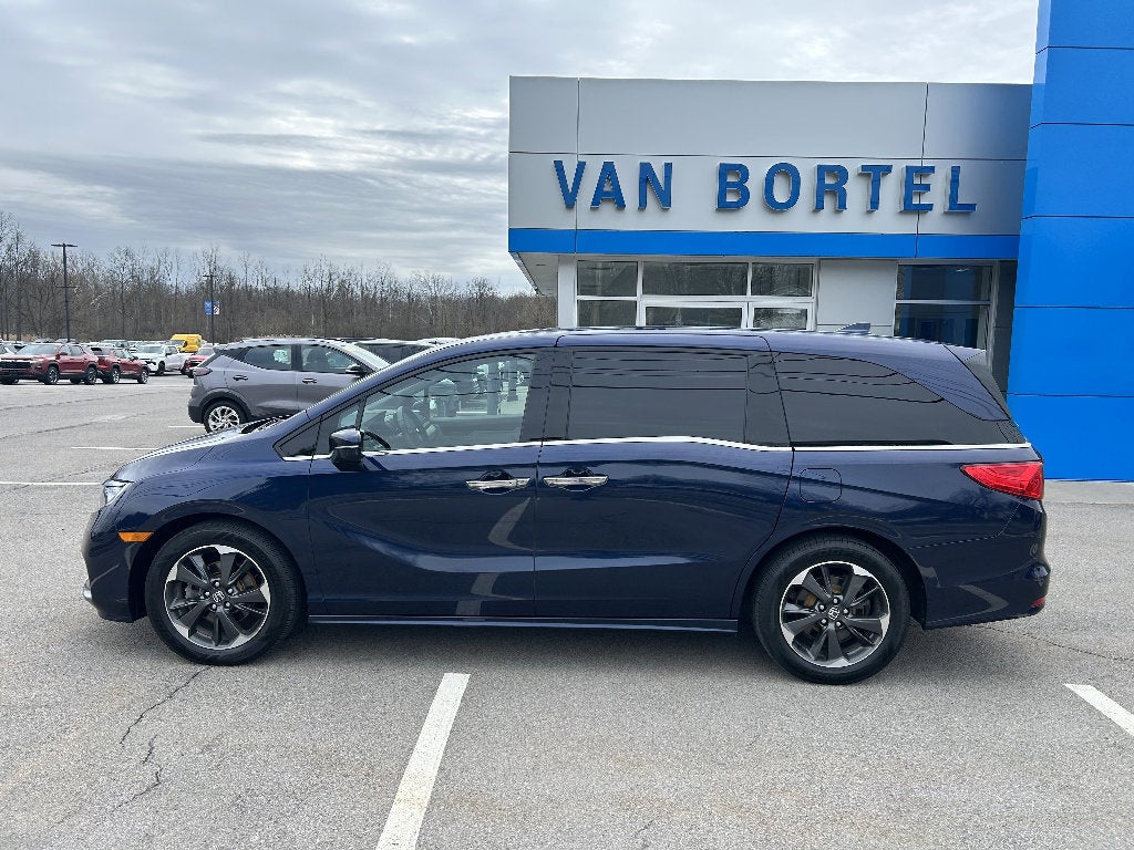 2024 Honda Odyssey Elite